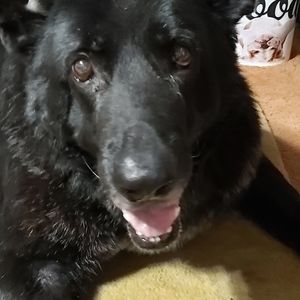 Meet your Posher, Regina